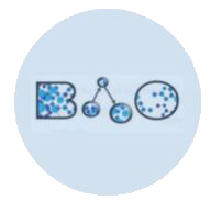 BAO Search logo
