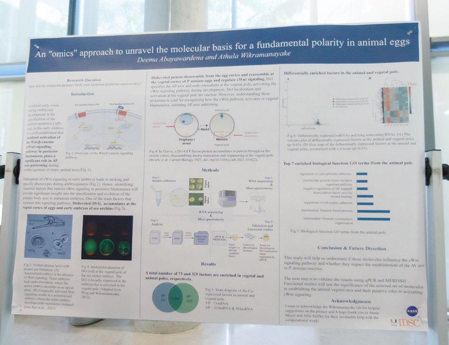 IDSC-Day-030725-JAbreu-8 (32)