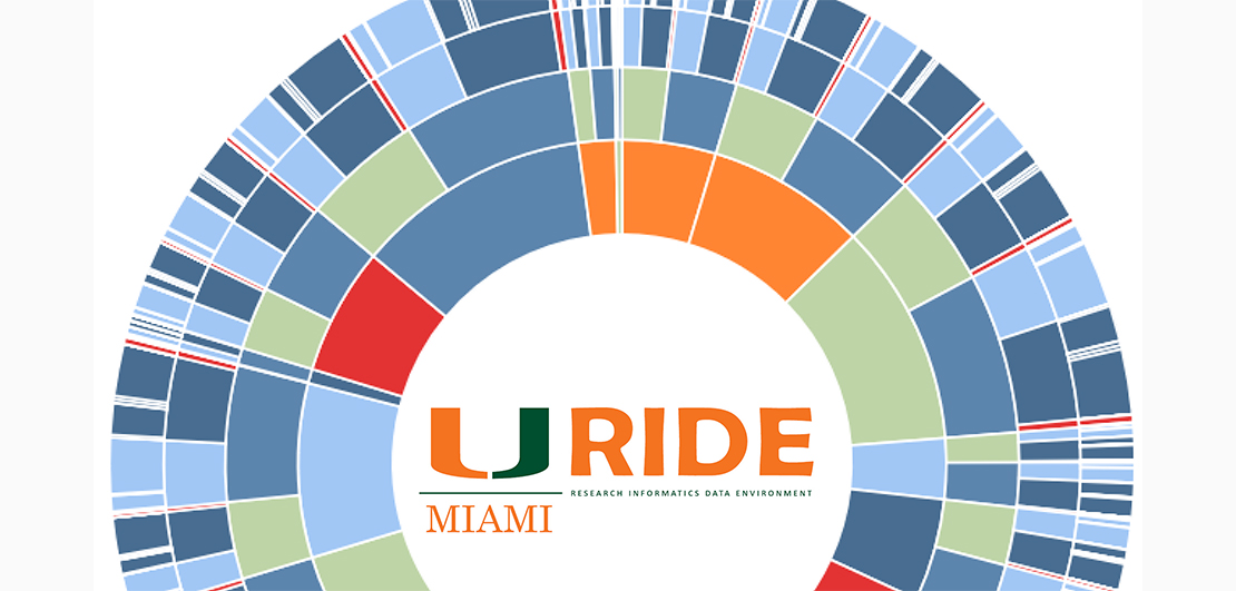 HOME Institute for Data Science & Computing(01)