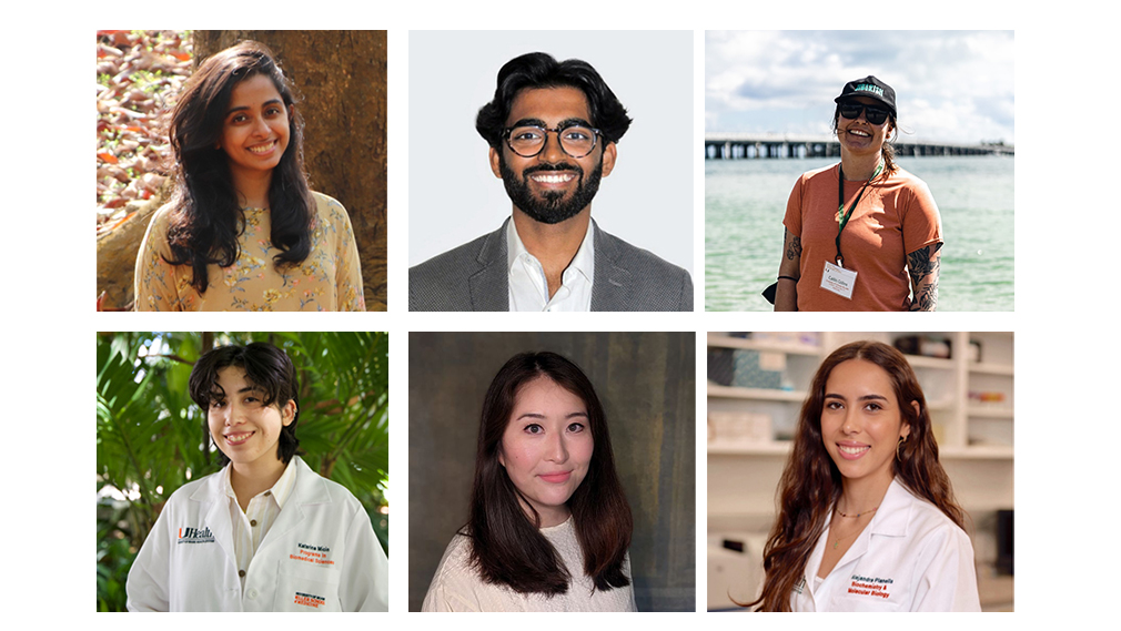 2024-2025 IDSC Fellows Deema Abayawardena, Nimay Mahajan, Cait Martinez, Katarina Micin, Jessica Okutsu, and Alejandra Planells Devesa.